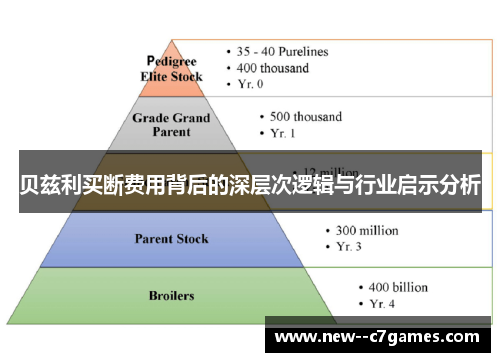 贝兹利买断费用背后的深层次逻辑与行业启示分析