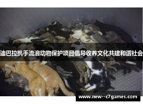 迪巴拉携手流浪动物保护项目倡导收养文化共建和谐社会