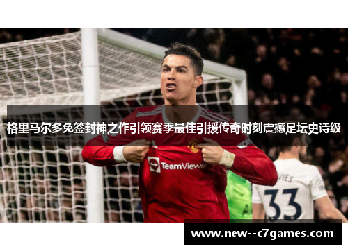 格里马尔多免签封神之作引领赛季最佳引援传奇时刻震撼足坛史诗级