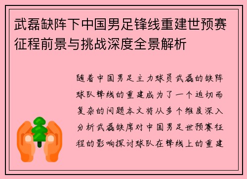 武磊缺阵下中国男足锋线重建世预赛征程前景与挑战深度全景解析